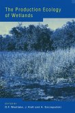 The Production Ecology of Wetlands