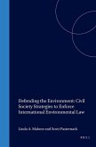Defending the Environment: Civil Society Strategies to Enforce International Environmental Law