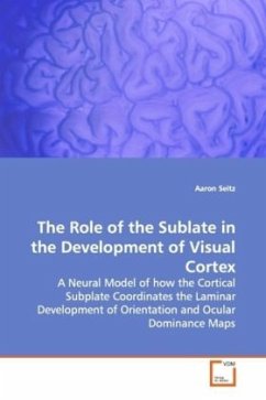 Cover The Role of the Sublate in the Development of Visual Cortex