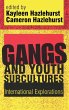 Gangs and Youth Subcultures - Bild 1