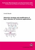 Selection strategy and modification of layer silicates for technical applications