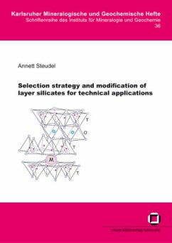 Selection strategy and modification of layer silicates for technical applications - Steudel, Annett