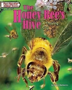 The Honey Bee's Hive: A Thriving City - Markovics, Joyce L.