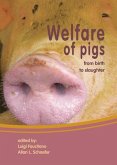 Welfare of Pigs: From Birth to Slaughter