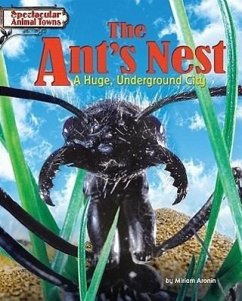 The Ant's Nest: A Huge, Underground City - Aronin, Miriam
