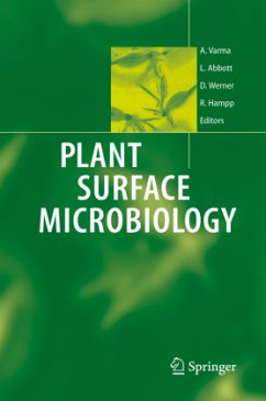 Plant Surface Microbiology - Varma, Ajit / Abbott, Lynette / Werner, Dietrich / Hampp, Rüdiger (eds.)