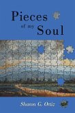 Pieces of my Soul