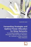 Forwarding Strategies and Optimal Power Allocation for Relay Networks