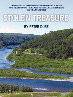 Stolen Treasure - Dube, Peter