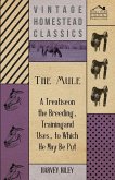 The Mule - A Treatise on the Breeding, Training and Uses, to Which He May Be Put