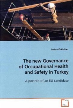 The new Governance of Occupational Health and Safety in Turkey - Özkiziltan, Didem