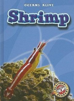 Shrimp - Sexton, Colleen