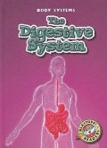 The Digestive System