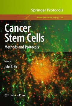 Cancer Stem Cells - Yu, John S. (ed.)