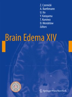 Brain Edema XIV - Czernicki, Zbigniew / Baethmann, Alexander / Ito, Umeo et al. (Hrsg.)