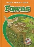 Fawns