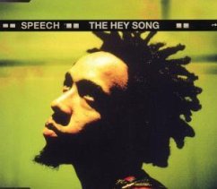 Cover The Hey Song