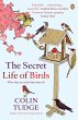 The Secret Life of Birds - Bild 1