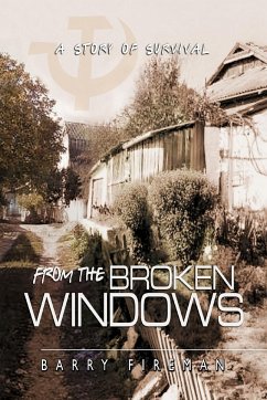 From The Broken Windows