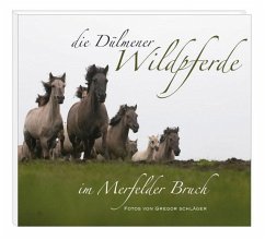 Die Dülmener Wildpferde in Merfelder Bruch - Gierse, Jörg