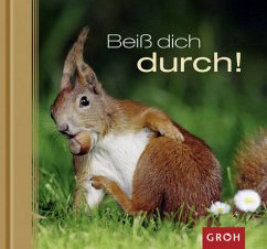 Beiß dich durch! - Bleker, Dorothée