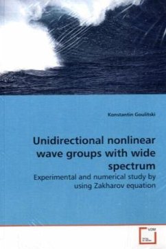 Unidirectional nonlinear wave groups with wide spectrum - Goulitski, Konstantin