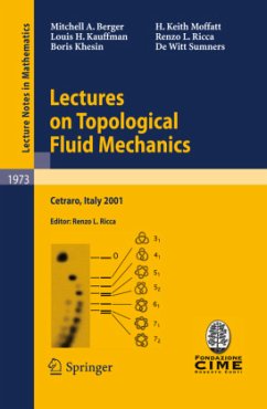 Lectures on Topological Fluid Mechanics - Berger, Mitchell A.;Kauffman, Louis H.;Khesin, Boris