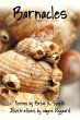 Barnacles - Bild 1