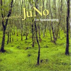 Cover Ein Spaziergang