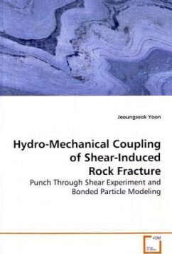 Hydro-Mechanical Coupling of Shear-Induced Rock Fracture - Yoon, Jeoungseok