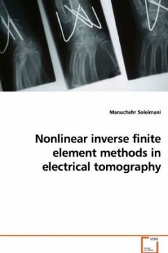 Nonlinear inverse finite element methods in electrical tomography - Soleimani, Manuchehr