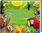 Zauberklang des Dschungels / Pop-up Buch