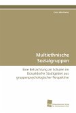 Multiethnische Sozialgruppen