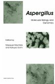 Aspergillus Aspergillus