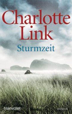 Sturmzeit Bd.1 - Link, Charlotte