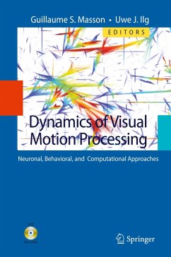 Dynamics of Visual Motion Processing - Masson, Guillaume S. / Ilg, Uwe J. (Hrsg.)