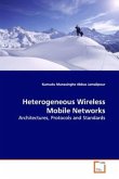 Heterogeneous Wireless Mobile Networks