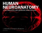 Human Neuroanatomy