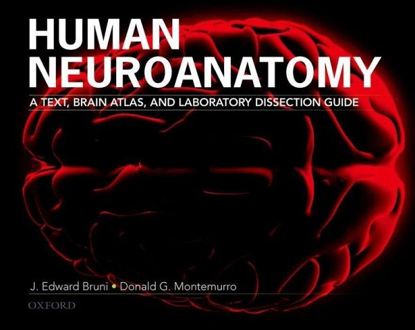 Human Neuroanatomy