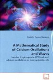 A Mathematical Study of Calcium Oscillations and Waves