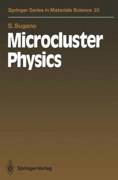 Microcluster physics - Sugano, Satoru -