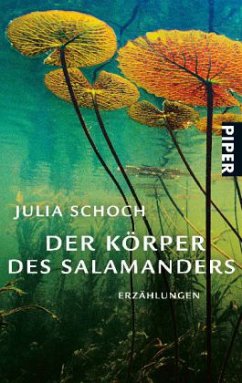 Der Körper des Salamanders - Schoch, Julia