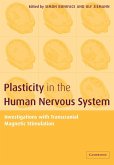 Plasticity in the Human Nervous System