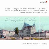 Leipziger Orgeln Um Felix Mendelssohn Bartholdy