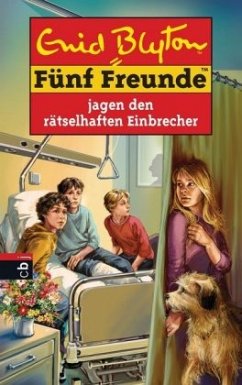 Fünf Freunde jagen den rätselhaften Einbrecher / Fünf Freunde Bd.59 - Blyton, Enid
