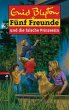 Fünf Freunde und die falsche... - Bild 1