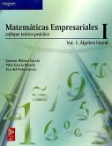 Matemáticas empresariales I : enfoque teórico-práctico