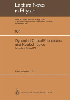 Dynamical Critical Phenomena and Related Topics