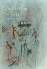 Apuntes de Malpaís