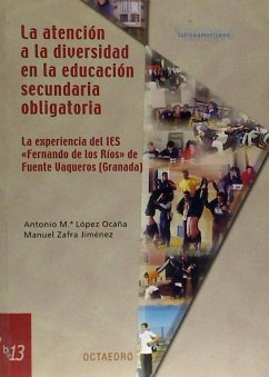 La atención a la diversidad en la Educación Secundaria Obligatoria : la experiencia del IES 